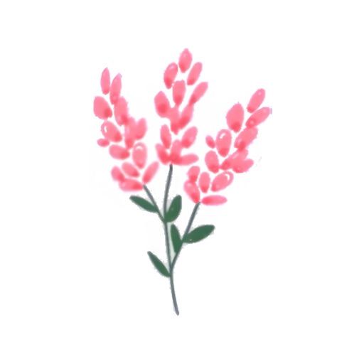 Budget Planner App - Fleur - Enkel og elegant økonomistyring